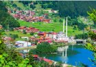 Trabzon’un En İyi Psikologları: 10 Uzman İsim ve İletişim Bilgileri