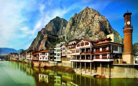 Amasya’nın En İyi Psikologları: 10 Uzman İsim ve İletişim Bilgileri