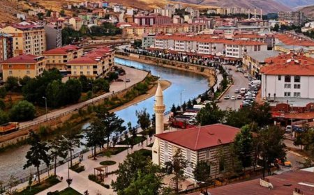 Bayburt’un En İyi Psikologları: 10 Uzman İsim, Mezuniyet Bilgileri ve İletişim Detayları
