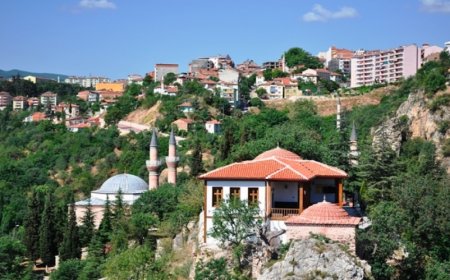 Bilecik’in En İyi Psikologları: 10 Uzman İsim, Mezuniyet Bilgileri ve İletişim Detayları