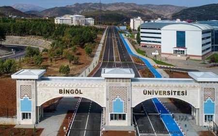 Bingöl’ün En İyi Psikologları: 10 Uzman İsim, Mezuniyet Bilgileri ve İletişim Detayları