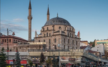 Bolu’nun En İyi Psikologları: 10 Uzman İsim, Mezuniyet Bilgileri ve İletişim Detayları