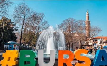 Bursa’nın En İyi Psikologları: 10 Uzman İsim, Mezuniyet Bilgileri ve İletişim Detayları