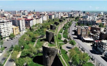 Diyarbakır’ın En İyi Psikologları: 10 Uzman İsim, Mezuniyet Bilgileri ve İletişim Detayları
