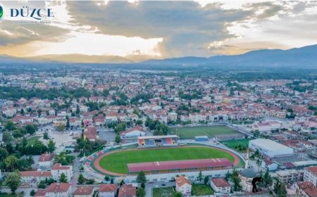 Düzce’nin En İyi Psikologları: 10 Uzman İsim, Mezuniyet Bilgileri ve İletişim Detayları