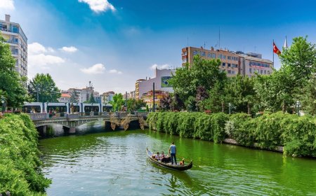 Eskişehir’in En İyi Psikologları: 10 Uzman İsim ve İletişim Bilgileri