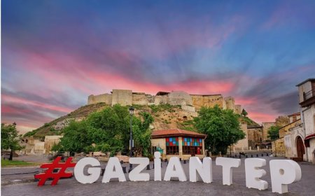 Gaziantep’in En İyi Psikologları: 10 Uzman İsim ve İletişim Bilgileri