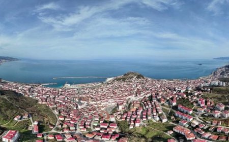 Giresun’un En İyi Psikologları: 10 Uzman İsim ve İletişim Bilgileri