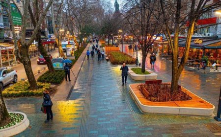 Kocaeli’nin En İyi Psikologları: 10 Uzman İsim ve İletişim Bilgileri