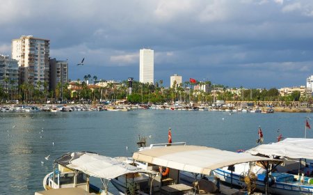 Mersin’in En İyi Psikologları: 10 Uzman İsim ve İletişim Bilgileri