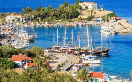Muğla’nın En İyi Psikologları: 10 Uzman İsim ve İletişim Bilgileri