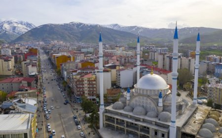 Muş’un En İyi Psikologları: 10 Uzman İsim ve İletişim Bilgileri