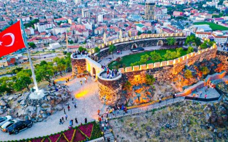 Nevşehir’in En İyi Psikologları: 10 Uzman İsim ve İletişim Bilgileri