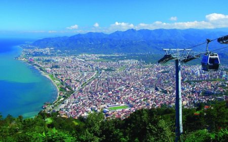 Ordu’nun En İyi Psikologları: 10 Uzman İsim ve İletişim Bilgileri