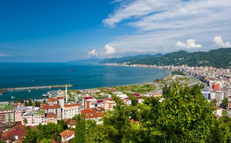 Rize’nin En İyi Psikologları: 10 Uzman İsim ve İletişim Bilgileri