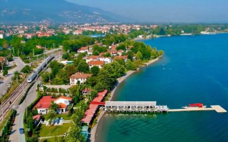 Sakarya’nın En İyi Psikologları: 10 Uzman İsim ve İletişim Bilgileri
