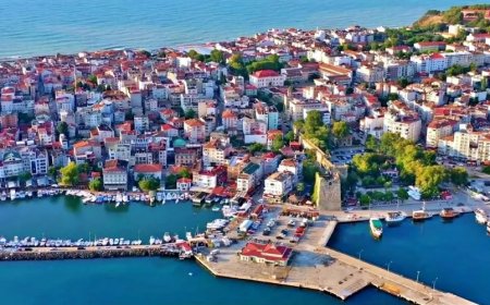 Sinop’un En İyi Psikologları: 10 Uzman İsim ve İletişim Bilgileri