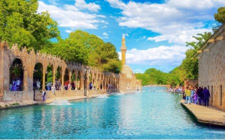 Şanlıurfa’nın En İyi Psikologları: 10 Uzman İsim ve İletişim Bilgileri