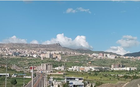 Şırnak’ın En İyi Psikologları: 10 Uzman İsim ve İletişim Bilgileri