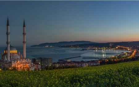 Tekirdağ’ın En İyi Psikologları: 10 Uzman İsim ve İletişim Bilgileri