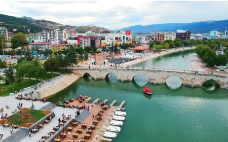Tokat’ın En İyi Psikologları: 10 Uzman İsim ve İletişim Bilgileri