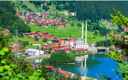 Trabzon’un En İyi Psikologları: 10 Uzman İsim ve İletişim Bilgileri