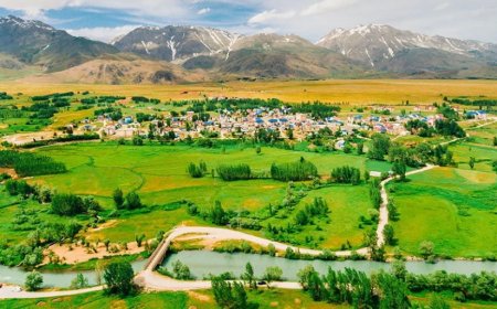 Tunceli’nin En İyi Psikologları: 10 Uzman İsim ve İletişim Bilgileri