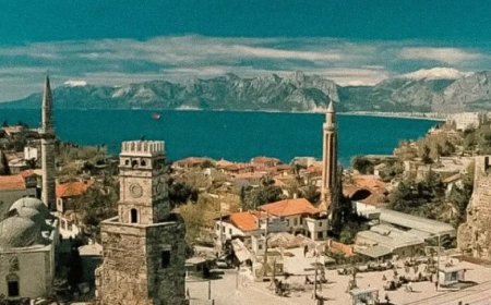 Uşak’ın En İyi Psikologları: 10 Uzman İsim ve İletişim Bilgileri