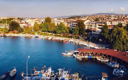 Yalova’nın En İyi Psikologları: 10 Uzman İsim ve İletişim Bilgileri