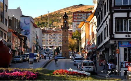 Yozgat’ın En İyi Psikologları: 10 Uzman İsim ve İletişim Bilgileri