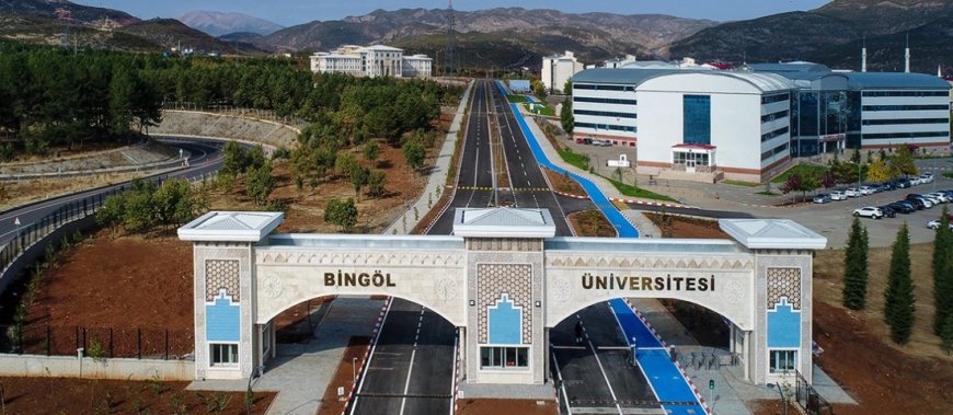 Bingöl’ün En İyi Psikologları: 10 Uzman İsim, Mezuniyet Bilgileri ve İletişim Detayları