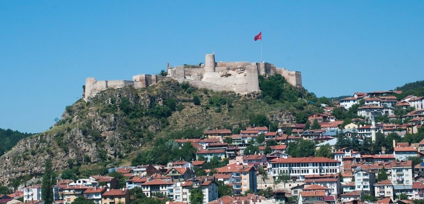 Kastamonu’nun En İyi Psikologları: 10 Uzman İsim ve İletişim Bilgileri