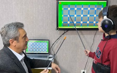Türk Akademisyenlerden Otizm ve Disleksiye Çözüm: Neurosound Sistemi
