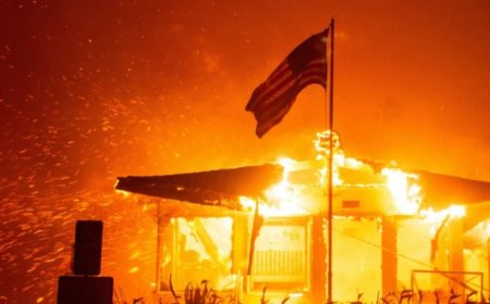 Los Angeles Alevler İçinde: İnsanlık Krizlere Karşı Ne Kadar Hazır?