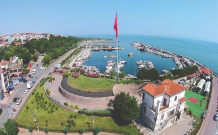 İstanbul Avcılar En İyi Psikologlar: 5 Uzman İsim ve İletişim Bilgileri