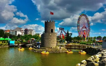 İstanbul Bayrampaşa En İyi Psikologlar: 5 Uzman İsim ve İletişim Bilgileri