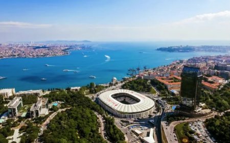 İstanbul Beşiktaş  En İyi Psikologlar: 5 Uzman İsim ve İletişim Bilgileri