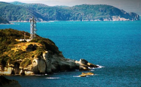 İstanbul Çatalca  En İyi Psikologlar: 5 Uzman İsim ve İletişim Bilgileri