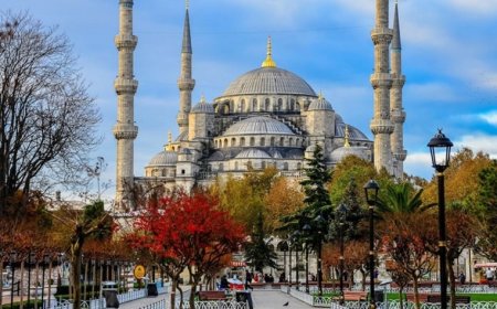 İstanbul Eyüp Sultan En İyi Psikologlar: 5 Uzman İsim ve İletişim Bilgileri