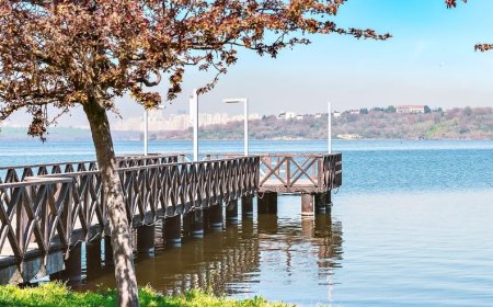 İstanbul’un Küçükçekmece İlçesindeki En İyi Psikologlar: 10 Uzman İsim ve İletişim Bilgileri