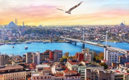 İstanbul’un Şişli İlçesindeki En İyi Psikologlar: 10 Uzman İsim ve İletişim Bilgileri