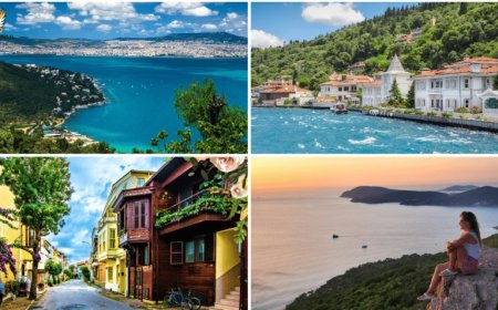 İstanbul’un Adalar İlçesindeki En İyi Psikologlar: 10 Uzman İsim ve İletişim Bilgileri