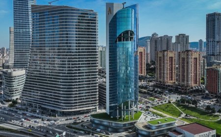 İstanbul’un Ataşehir İlçesindeki En İyi Psikologlar: 10 Uzman İsim ve İletişim Bilgileri