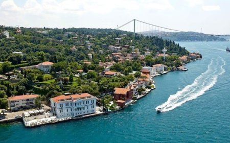 İstanbul’un Beykoz İlçesindeki En İyi Psikologlar: 10 Uzman İsim ve İletişim Bilgileri