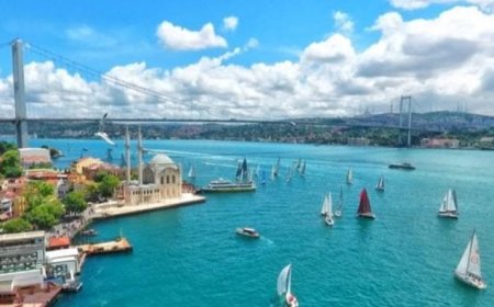 İstanbul’un Maltepe İlçesindeki En İyi Psikologlar: 10 Uzman İsim ve İletişim Bilgileri