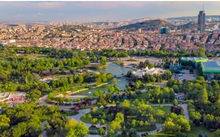 Altındağ’ın En İyi Psikologları: 10 Uzman İsim ve İletişim Bilgileri