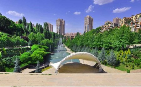 Ankara'nın Çankaya İlçesindeki En İyi Psikologlar: 10 Uzman İsim ve İletişim Bilgileri