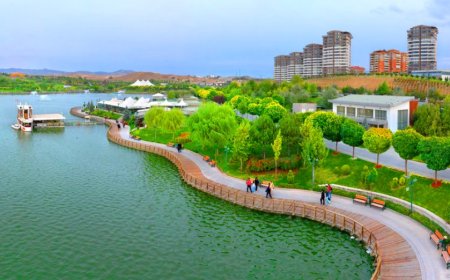 Ankara’nın Etimesgut İlçesinin En İyi Psikologları: 5 Uzman İsim ve İletişim Bilgileri