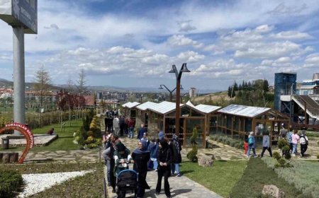Ankara’nın Pursaklar İlçesinin En İyi 10 Uzman Psikoloğu: İsim ve İletişim Bilgileri