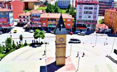 Ankara’nın Akyurt İlçesindeki En İyi Psikologlar: Uzman İsim ve İletişim Bilgileri